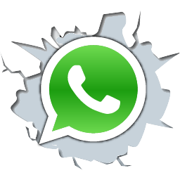 Go whatsapp