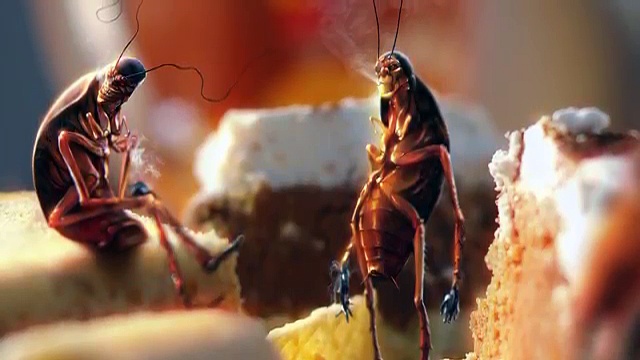 Вывести тараканов, уничтожение тараканов Алматы